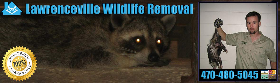 Lawrenceville Wildlife and Animal Removal